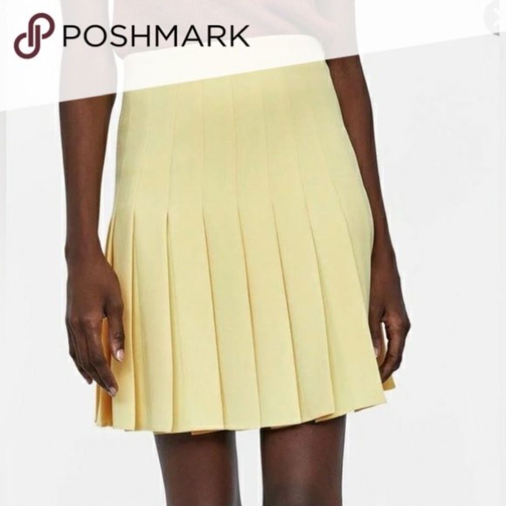 Zara pleated skirt